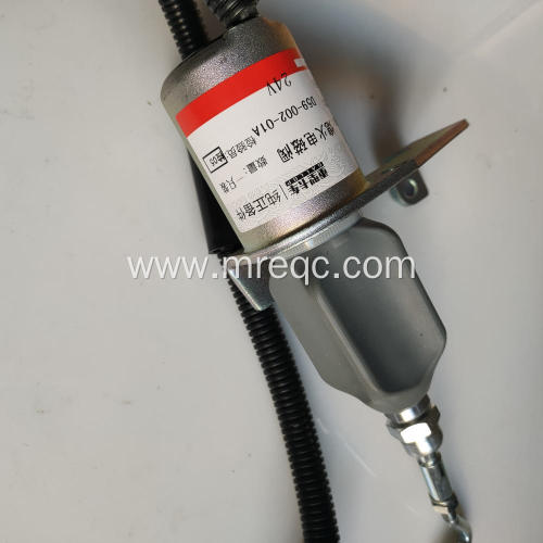 D59-002-01A Auto Parts Solenoid Valve